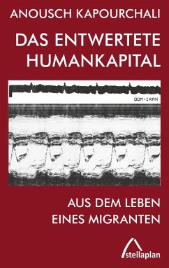 Das entwertete Humankapital (eBook, ePUB) - Kapourchali, Anousch