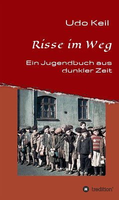 Risse im Weg (eBook, ePUB) - Keil, Udo