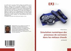 Simulation numérique des processus de corrosion dans les métaux chauds - Mukora, Wilfred