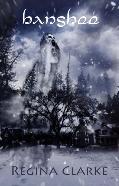 Banshee (eBook, ePUB)