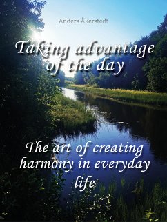 Taking advantage of the day (eBook, ePUB) - Åkerstedt, Anders