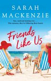 Friends Like Us (eBook, ePUB)