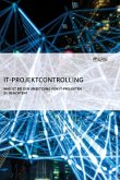 IT-Projektcontrolling. Was ist bei der Umsetzung von IT-Projekten zu beachten?