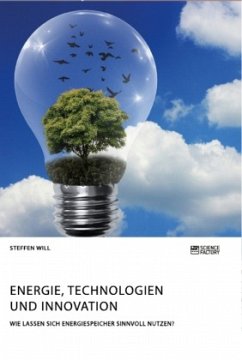 Cover Energie, Technologien und Innovation. Wie lassen sich Energiespeicher sinnvoll nutzen?