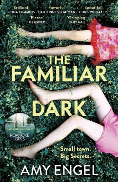 The Familiar Dark - Engel, Amy