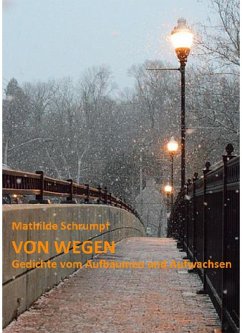 Von Wegen (eBook, ePUB) - Schrumpf, Mathilde