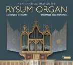 Spätmittelalterliche Messe Auf Der Rysum Orgel