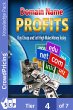 Domain name profits (eBook, ePUB) - Bild 1