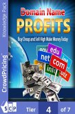 Domain name profits (eBook, ePUB) Domain name profits (eBook, ePUB)