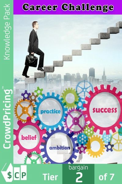 Career Challenge (eBook, ePUB)