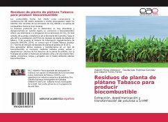 Residuos de planta de plátano Tabasco para producir biocombustible