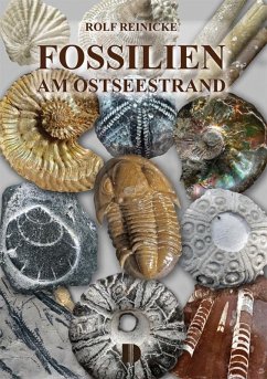 Fossilien am Ostseestrand - Reinicke, Rolf