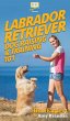 Labrador Retriever Dog Raising &... - Bild 1