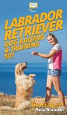 Labrador Retriever Dog Raising & Training 101