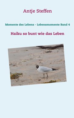 Momente des Lebens - Lebensmomente Band 4 - Steffen, Antje