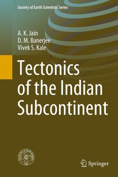 Tectonics of the Indian Subcontinent - Jain, A. K.;Banerjee, D. M.;Kale, Vivek S.