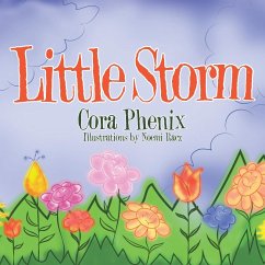 Cover Little Storm