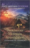 Treacherous Mountain Investigation (eBook, ePUB)