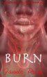 Burn (The Cambion Rider Chronicles, #2)... - Bild 1
