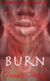 Burn (The Cambion Rider Chronicles, #2) (eBook, ePUB)