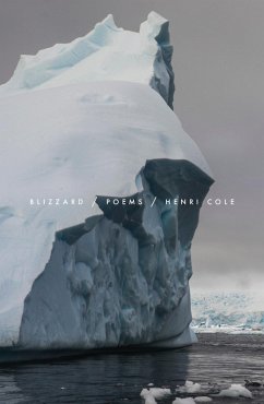 Blizzard (eBook, ePUB) - Cole, Henri