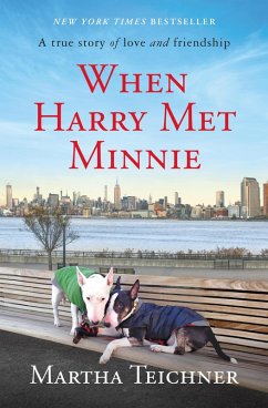 When Harry Met Minnie (eBook, ePUB) - Teichner, Martha