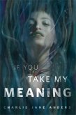 If You Take My Meaning (eBook, ePUB)