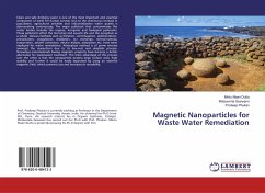 Magnetic Nanoparticles for Waste Water Remediation - Dutta, Mintu Maan;Goswami, Mridusmita;Phukan, Prodeep