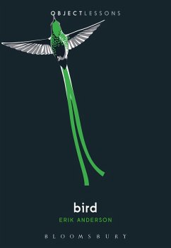 Bird (eBook, ePUB) - Anderson, Erik