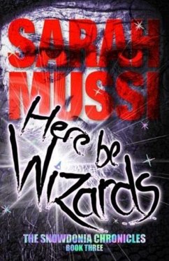 Cover Here be Wizards