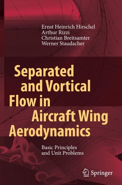Separated and Vortical Flow in Aircraft Wing Aerodynamics - Hirschel, Ernst Heinrich;Rizzi, Arthur;Breitsamter, Christian