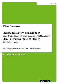 Belastungsadaptiv oszillierender, fluidmechanisch wirksamer Tragflügel für den Unterwasserbereich kleiner Seefahrzeuge - Felgenhauer, Michel