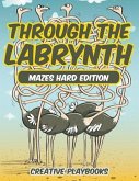Through the Labyrinth Mazes Hard Edition