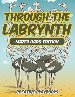 Through the Labyrinth Mazes Hard Edition - Creative Playbooks