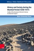 History and Society during the Mamluk Period (1250-1517)