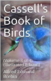 Casell's Book of Birds / Volume 3 (of 4) (eBook, PDF) - Rymer Jones, Thomas