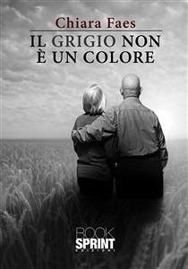 Il grigio non è un colore (eBook, ePUB) - Faes, Chiara