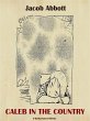 Caleb in the Country (eBook, ePUB) - Bild 1