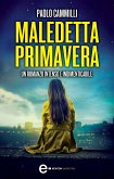 Maledetta primavera (eBook, ePUB)