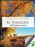 Il viaggio dell'anima persa (eBook, ePUB)