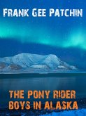 The Pony Rider Boys in Alaska (eBook, ePUB)