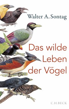 Das wilde Leben der Vögel (eBook, ePUB) - Sontag, Walter A.