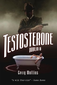Testosterone, Dublin 8 (eBook, ePUB) - Mulins, Gerry