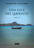 Una luce nel labirinto (eBook, ePUB)