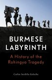 The Burmese Labyrinth (eBook, ePUB)