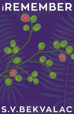 Cover iRemember (eBook, ePUB)