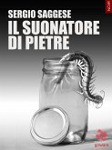 Il suonatore di pietre (eBook, ePUB)