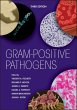 Gram-Positive Pathogens (eBook, ePUB) - Bild 1