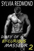 Diary of a Bi-curious Masseur 2 (eBook, ePUB)