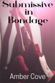 Submissive in Bondage (eBook, ePUB)